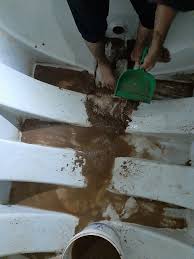 شركة الفهد كلين: رواد النظافة العامة ومكافحة الحشرات في عرعر صورة واتساب بتاريخ 1447 03 18 في 22.37.13 7fd3cd16